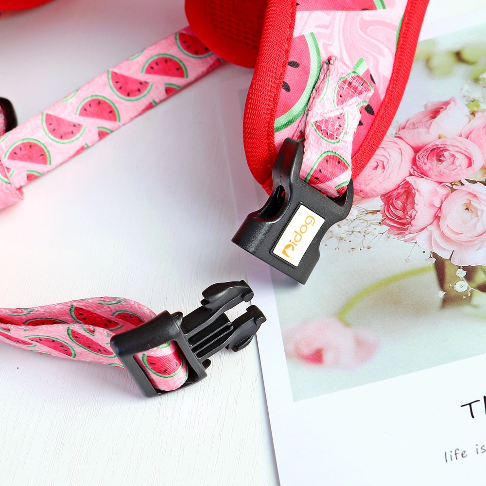 Colorful & Comfortable iDog Harnesses