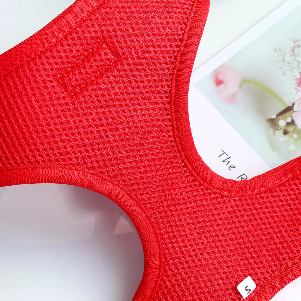 Colorful & Comfortable iDog Harnesses